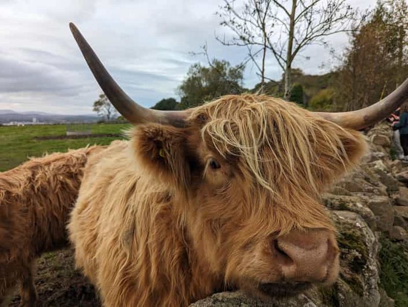 Visite privée du Loch Ness, de Pitlochry, de Glencoe et des Highlands