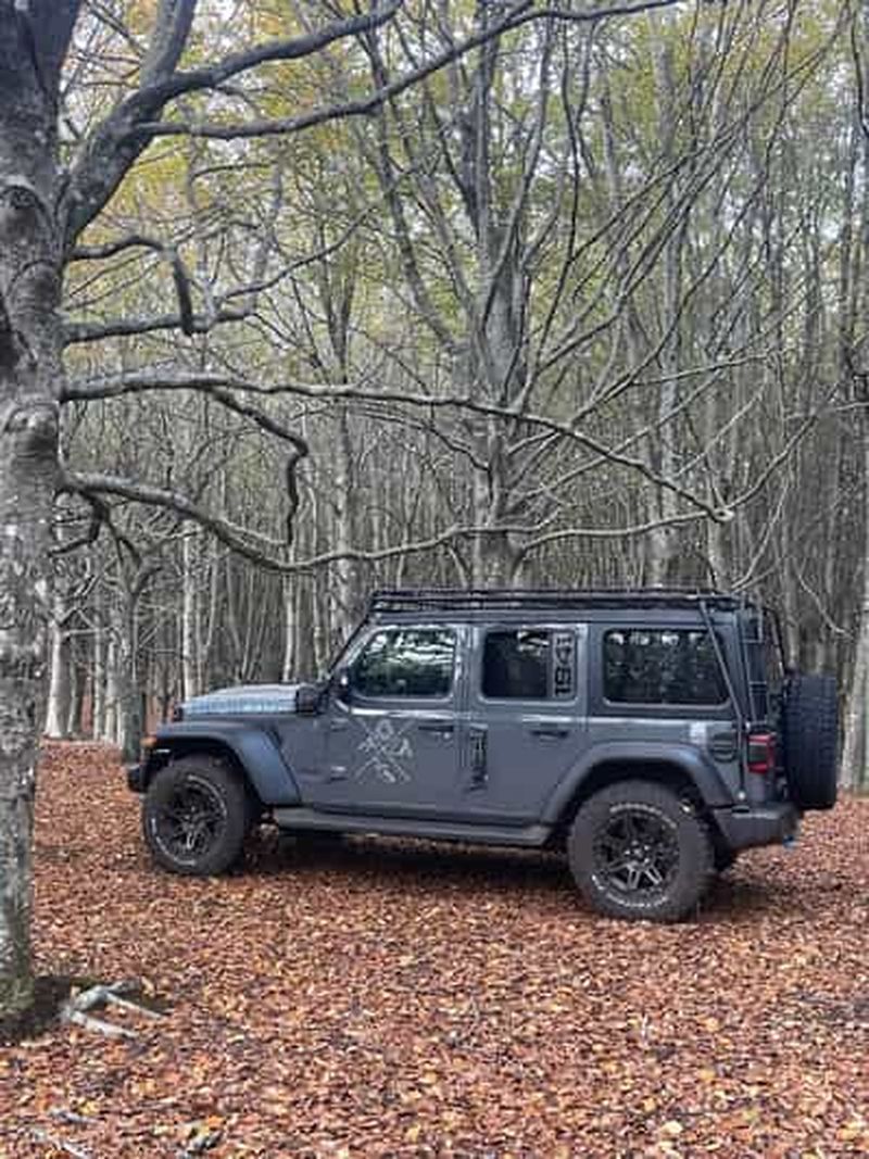 Madère : Forêt de Fanal, plage de Seixal et excursion en Jeep à Porto Moniz