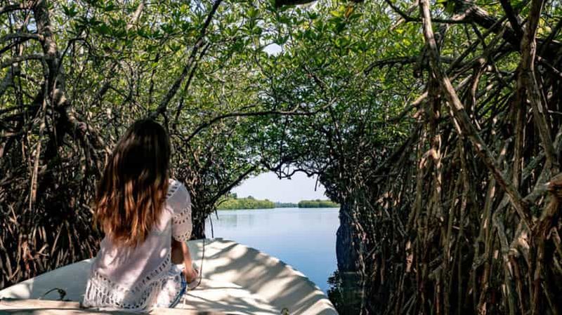 Bentota : Safari tout compris au fort hollandais de Galle et à la rivière Madu
