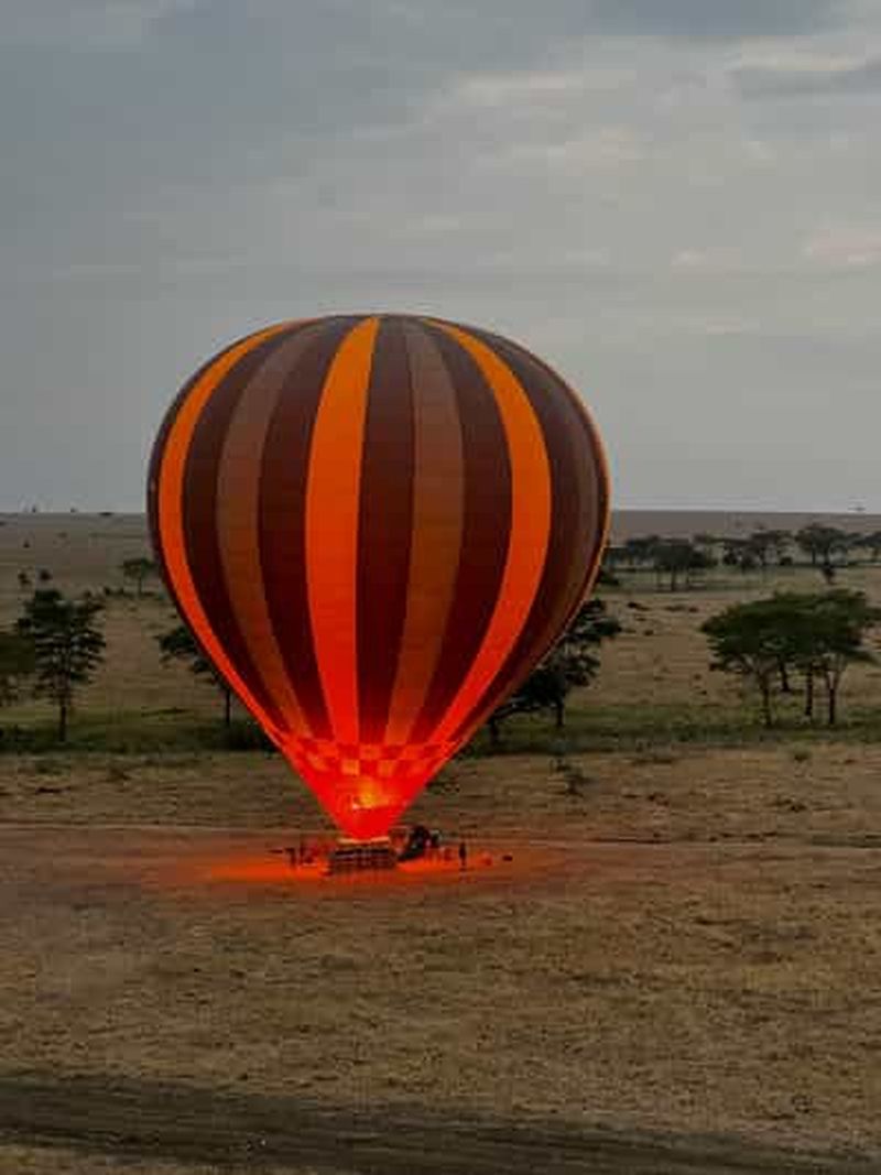 Serengeti : vol en montgolfière avec petit-déjeuner traditionnel et champagne