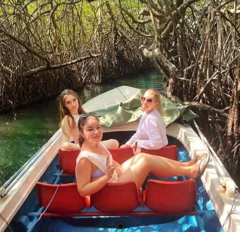 Colombo, fort de Galle, safari en bateau, tortues, visite de groupe