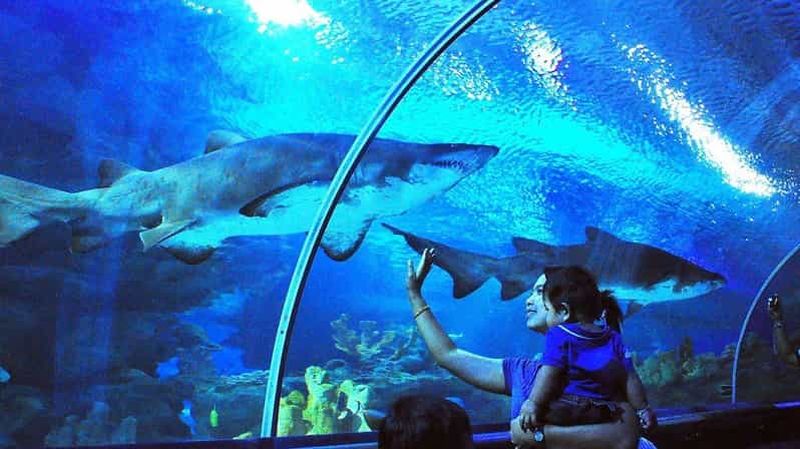 Kuala Lumpur : billet d'entrée à Aquaria KLCC