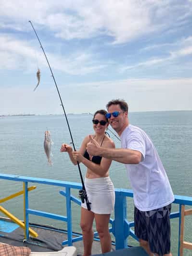 Billet Croisière paisible d'une journée sur le fleuve Gambie