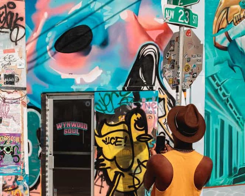 Wynwood Walls Street Art & Neighborhood Walking Tour (visite à pied du quartier de Wynwood)