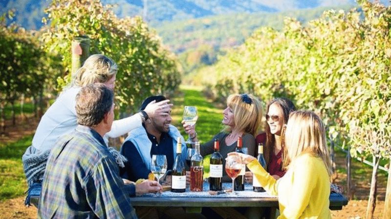 Billet Santiago : Dégustation de vin dans la vallée de Maipo avec 4 vignobles