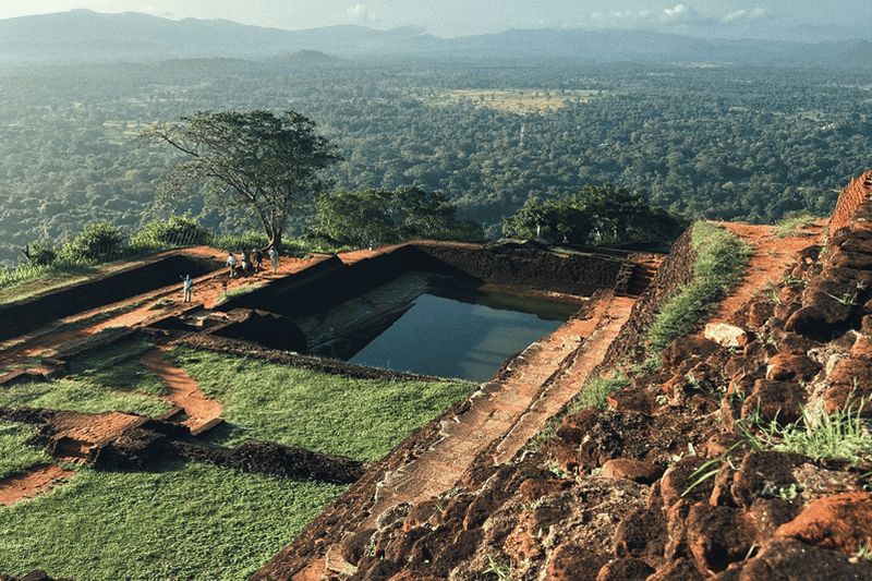 Sigiriya : Rocher du Lion et safari à Minneriya, visite privée d'une jounée