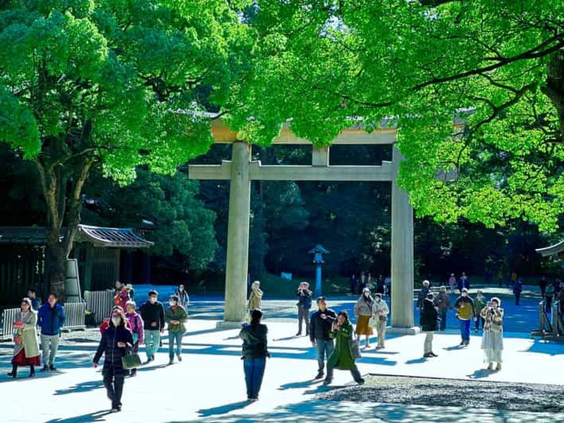 Tokyo : visite à pied du sanctuaire Meiji Jingu et de la culture shintoïste