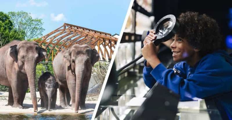 Amsterdam : Artis Royal Zoo & ARTIS-Micropia billet combiné