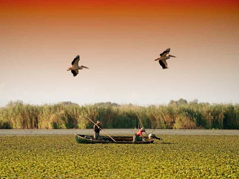 Depuis Bucarest : Excursion d'une journée dans le delta du Danube