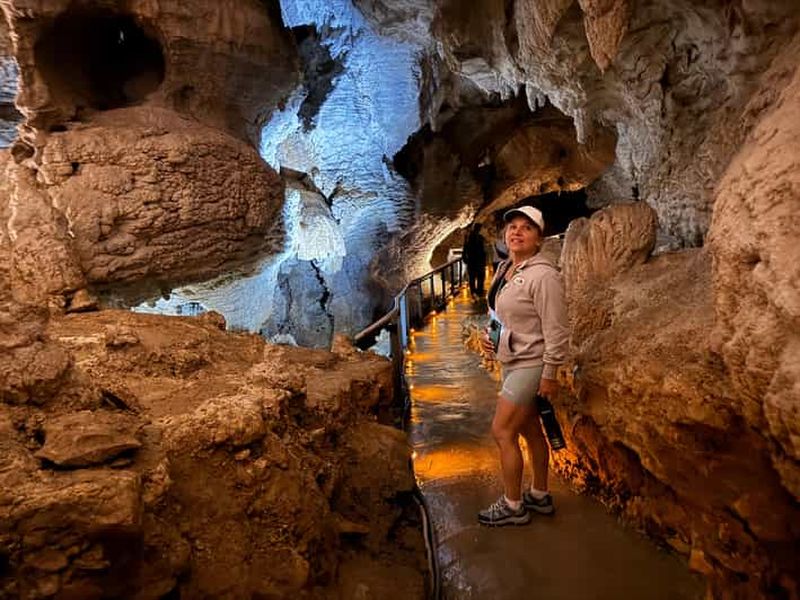 Visite privée d'une journée : vers luisants de Waitomo et plateau de tournage de Hobbiton
