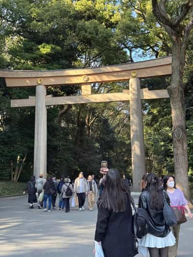 Au-delà du Torii : un guide des traditions shintoïstes de Meiji Jingu