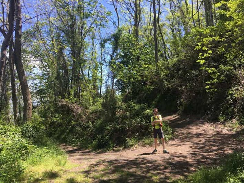 Parc national du Vésuve : Randonnée guidée dans la vallée de l'enfer