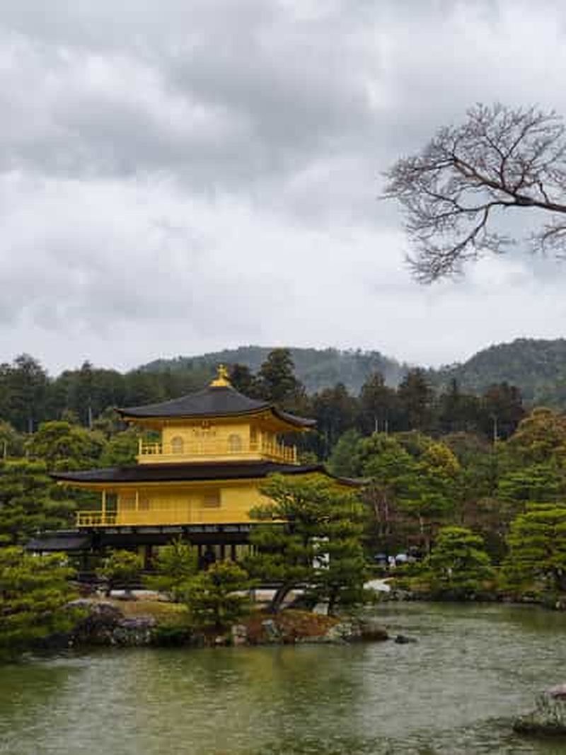 Kyoto : temps forts : château de Nijō, Arashiyama, Kinkaku-ji et plus encore
