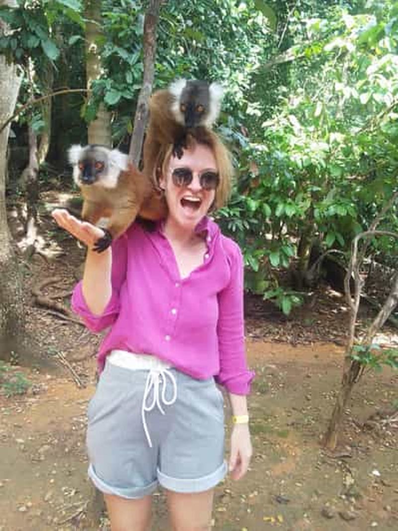 Billet Excursion à Nosy Be : lémuriens et faune de Nosy Komba