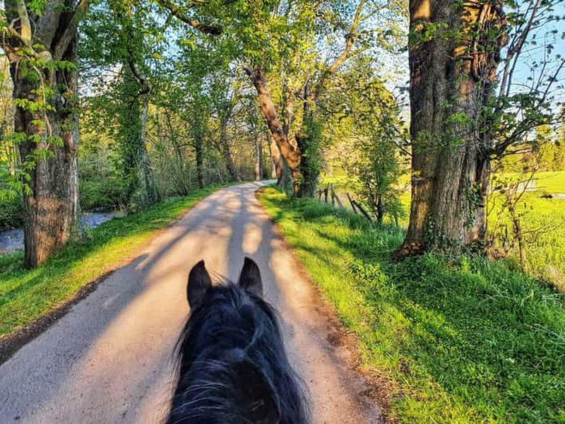 Promenade à cheval dans le parc national du Gargano