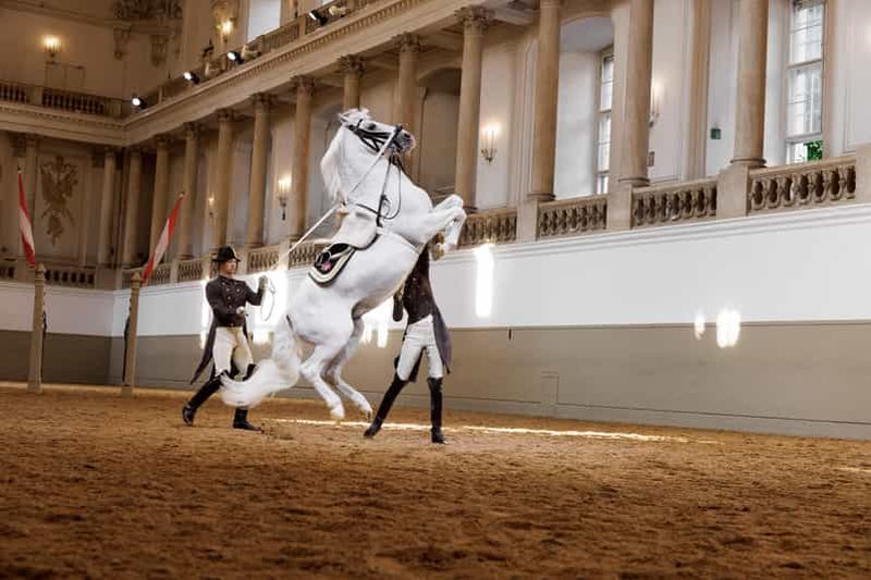 Vienne : spectacle de 45 minutes de l'école espagnole d'équitation