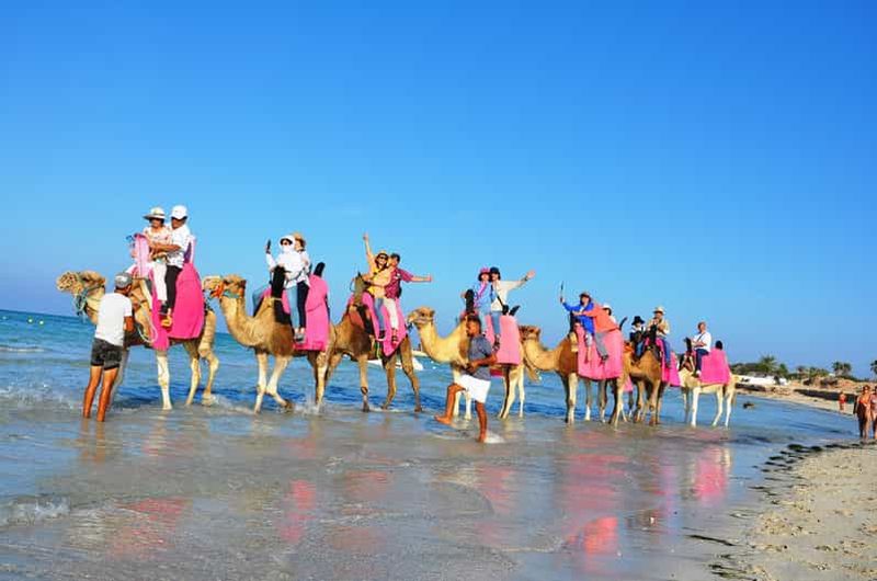 Billet Djerba : 2 heures et demie de balade à dos de chameau et à cheval au lagon bleu