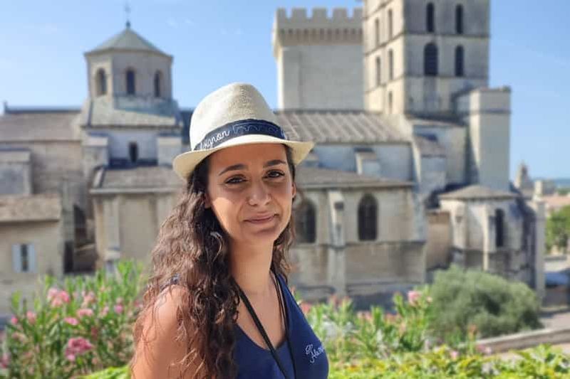 Avignon : visite à pied de la ville avec entrée au Palais des Papes