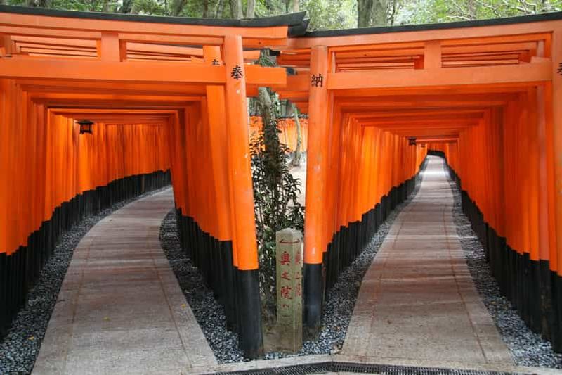Kyoto : visite en bus d'une journée (Fushimi Inari, Kinkaku-ji, bambouseraie)
