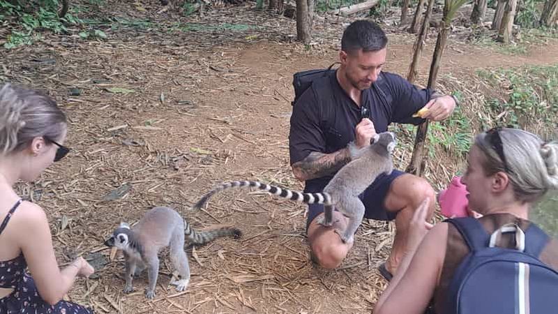 Billet Nosy Be : visite privative du parc Lemuria Land avec prise en charge