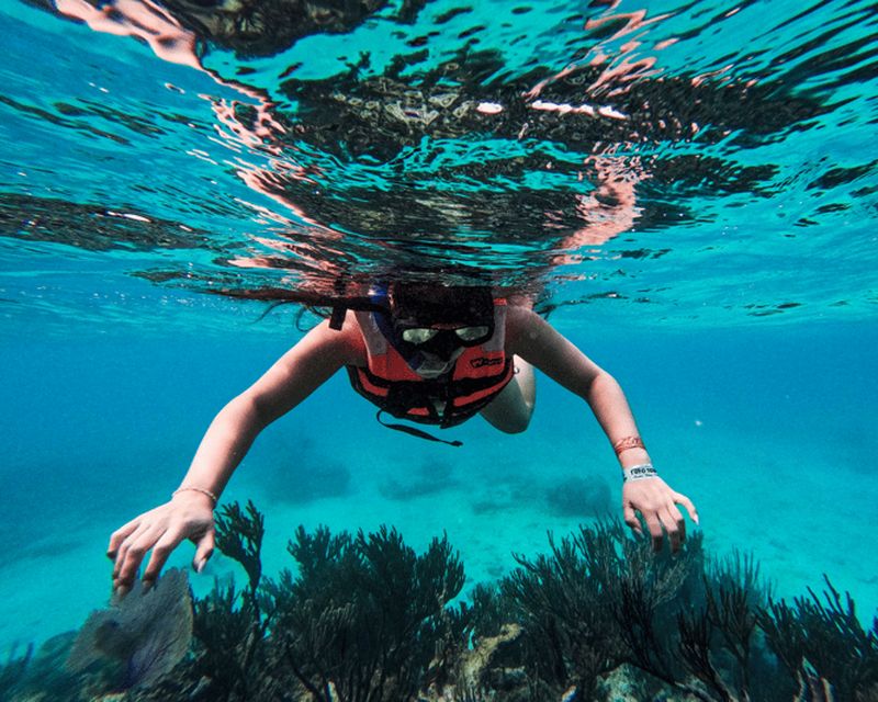 Billet Tulum : 2 heures de plongée en apnée dans deux endroits du récif de Tulum