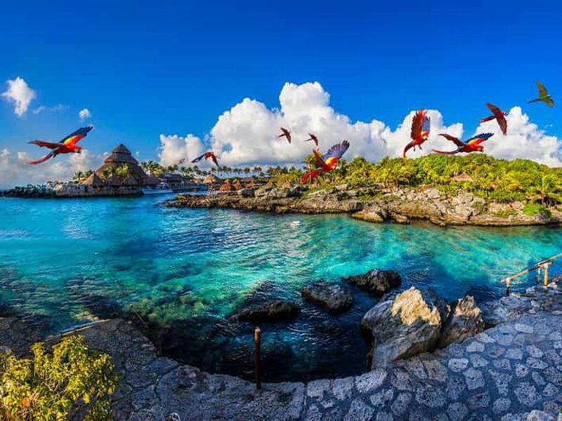Depuis Playa del Carmen : Xcaret Plus Park, l'expérience complète