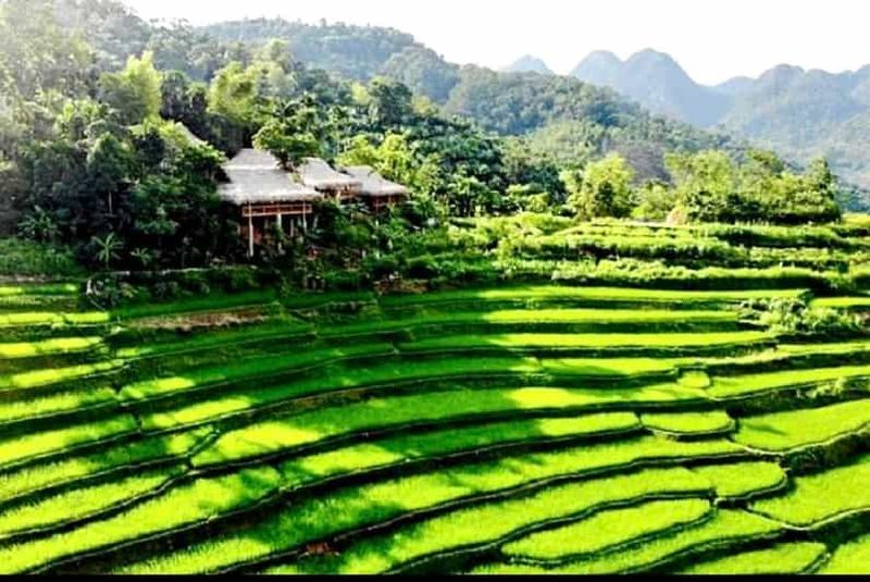 Billet Depuis Hanoï : radeau et trek de 2 jours à Mai Chau et Pu Luong