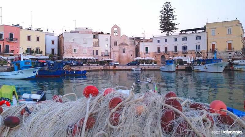 Gallipoli : visite exclusive d'une journée à Trani/Castel del Monte