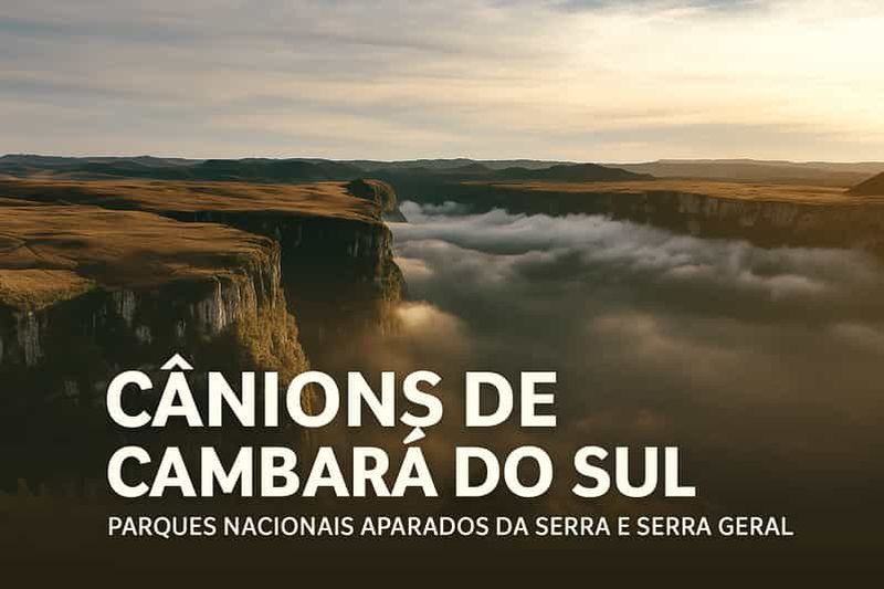 Billet Cambará do Sul/Canyons : excursion privée d'une journée au départ de Porto Alegre
