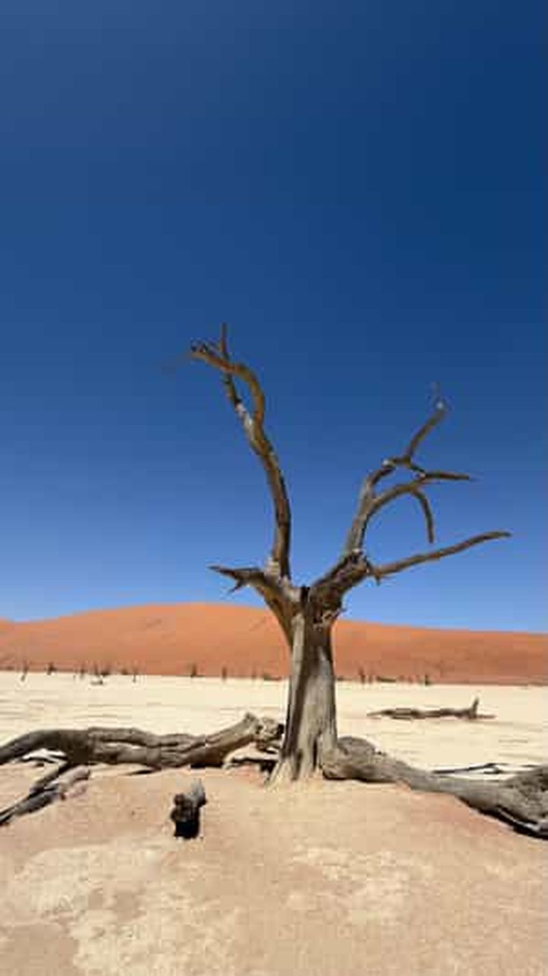 Namibie : voyage de 3 jours tout compris à Sossusvlei