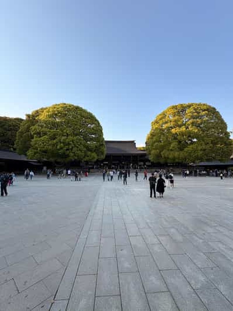 Tokyo : visite à pied guidée du sanctuaire Harajuku et Meiji Jingu