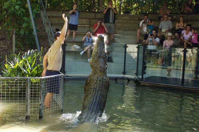 Kuranda et Hartley's Crocodile Adventures