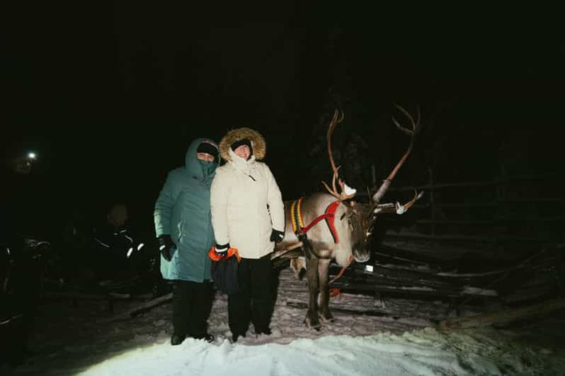 Rovaniemi : promenade en traîneau à rennes, aurores boréales et soirée à la ferme
