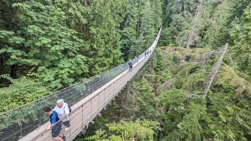 Pont suspendu de Capilano, Canyon Lights et 4 temps forts