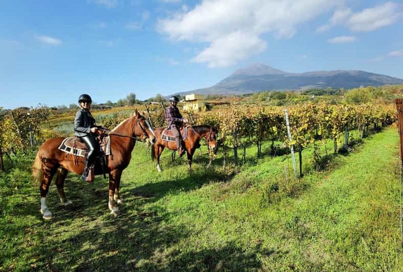 Randonnée à cheval sur le Vésuve avec dégustation de vin