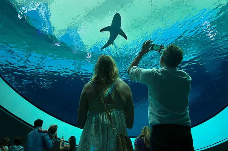 Miami : billet d'entrée pour le musée des sciences et le planétarium Frost