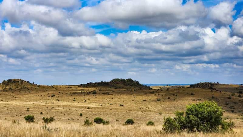 Johannesburg : visite du site classé au patrimoine mondial de l'humanité « Cradle of Humankind » (berceau de l'humanité)