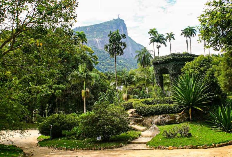 Rio de Janeiro : Visite guidée du jardin botanique