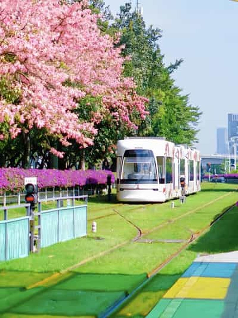 Visite d'une journée à Guangzhou : tramway, musée du verre et croisière nocturne