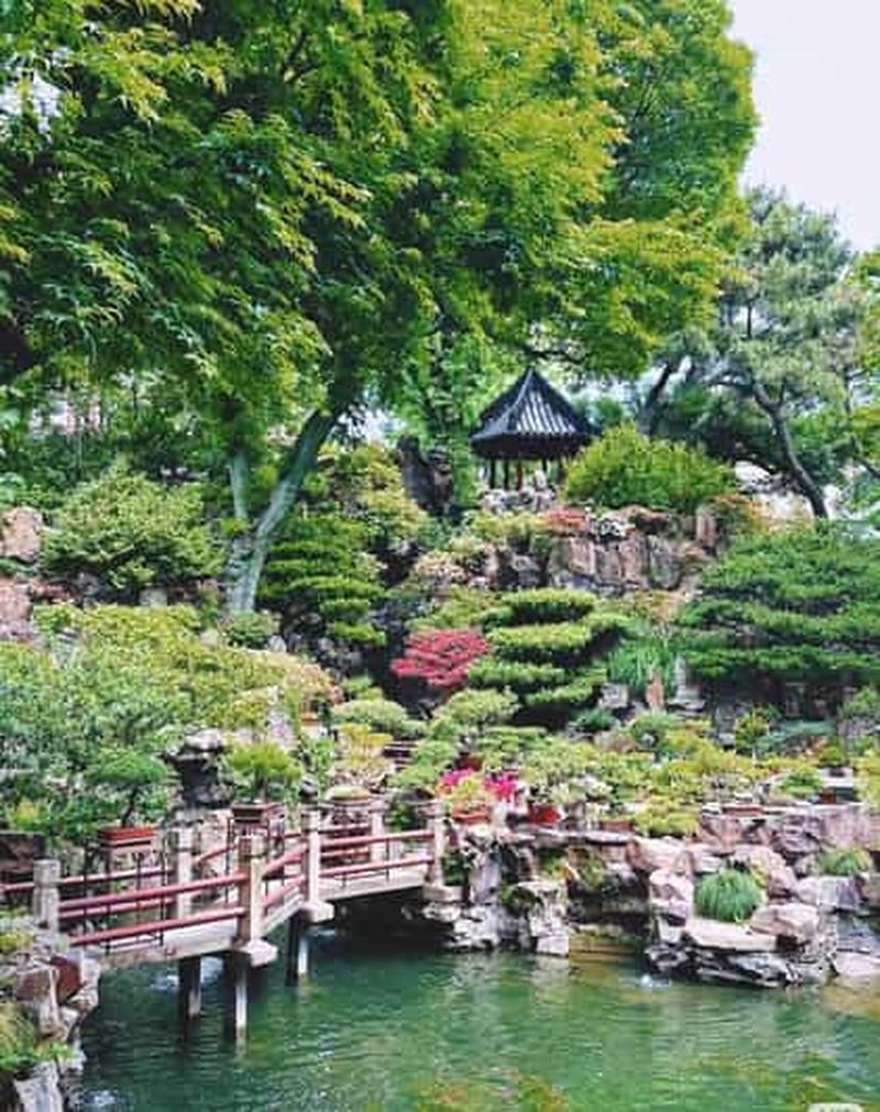 Jardin Yuyuan de Shanghai : billet d'entrée officiel et accès prioritaire