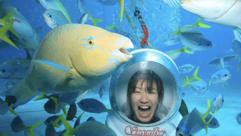 Bali : Promenade sous-marine, temple d'Uluwatu et danse Kecak