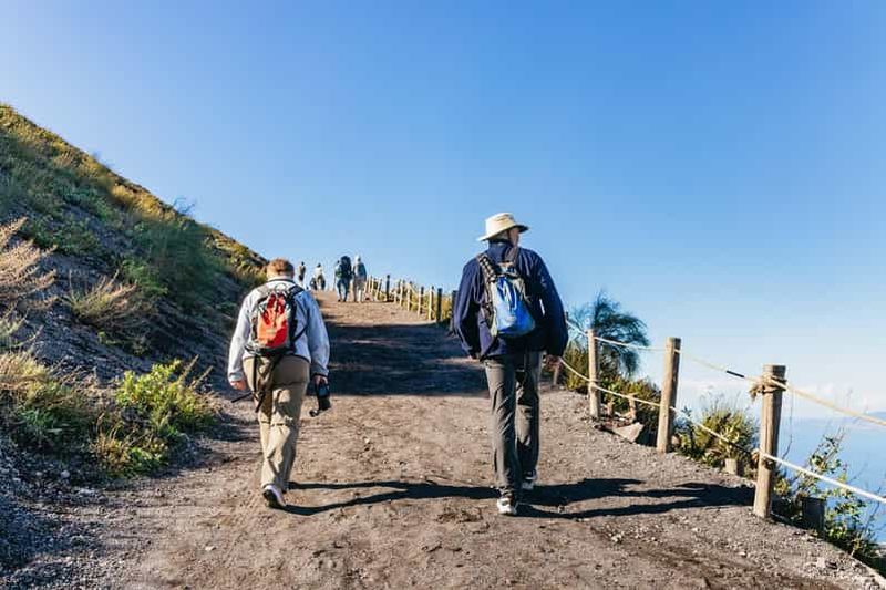 Depuis Pompéi/Naples : transfert facile vers le Vésuve et billet d'entrée