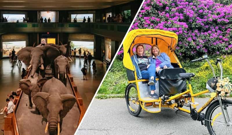 New York : visite de Central Park en vélo-taxi et accès au musée d'histoire naturelle