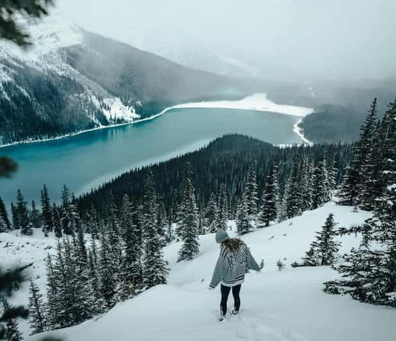 Banff : visite du lac Louise, du canyon Marble, du lac Bow et du lac Peyto