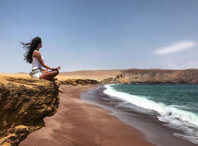 Depuis Lima : excursion d'une journée aux lignes de Nazca et aux îles Ballestas