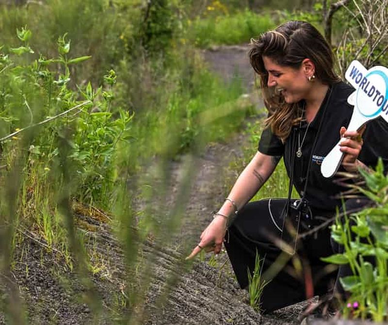 Naples : visite en petit groupe de Pompéi et du Vésuve avec déjeuner