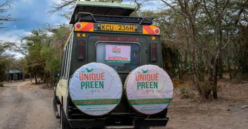 Nairobi : safari de 3 jours dans les parcs nationaux de Tsavo West et de Tsavo East