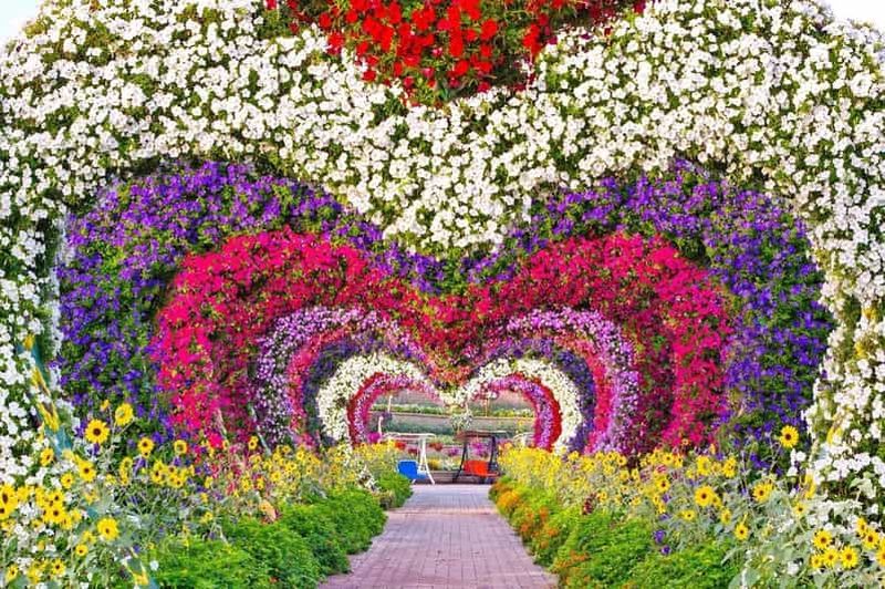 Visite du Miracle Garden et du Global Village de Dubaï avec 3 options