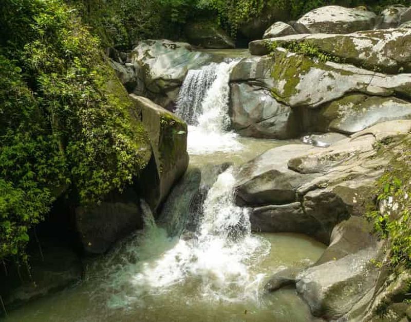 Billet Minca : visite du café, du cacao et de la cascade