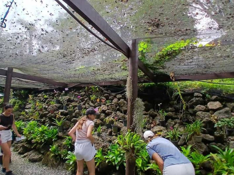 FIDJI : Excursion au jardin du Géant endormi